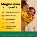 nature-made-magnesium-l-threonate-with-v-3.jpg