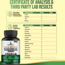 sea-moss-shilajit-multivitamin-bundle----3.jpg