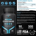 fit-focused-500mg-ecdysterone-supplement-3.jpg
