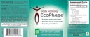body-ecology-ecophage-bacteriophage-preb-6.jpg