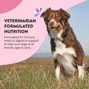 daily-wellness-supplements-for-dogs-prob-5.jpg