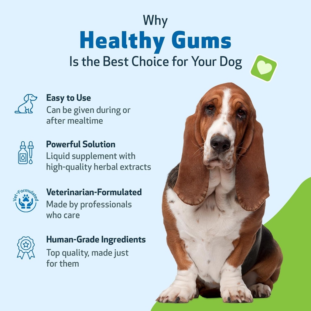 pet-wellbeing-healthy-gums-for-dogs---gu-5.jpg