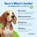 pet-wellbeing-healthy-gums-for-dogs---gu-6.jpg