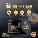 himalayan-shilajit-resin-high-potency-11-3.jpg