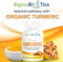 organic-turmeric-curcumin-supplement---j-2.jpg