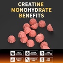 nutravita-creatine-monohydrate-gummies-f-4.jpg