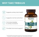 himalaya-organic-tribulus-terrestris---h-5.jpg