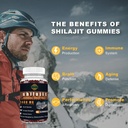 shilajit-gummies-for-men-women---1400mg--4.jpg