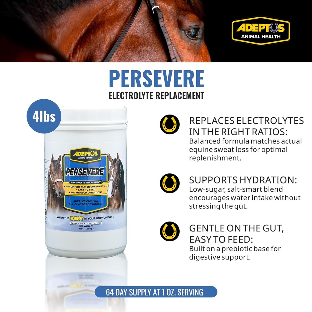 adeptus-nutrition-persevere-electrolyte--2.jpg