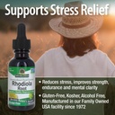 natures-answer-rhodiola-root-super-conce-4.jpg