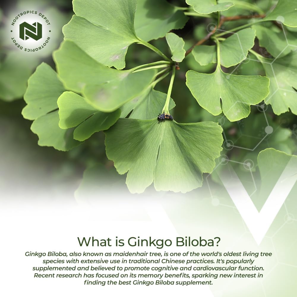 nootropics-depot-ginkgo-biloba-extract-t-5.jpg