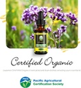 louianna---organic-wild-oregano-oil-pure-4.jpg