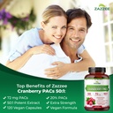 zazzee-cranberry-pacs-72-mg-pacs-per-cap-3.jpg