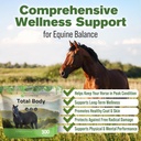 silver-lining-herbs-total-body-horse-sup-2.jpg