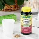 spring-valley-brain-performance-support--3.jpg