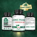lions-mane-with-ginkgo-biloba-supplement-6.jpg