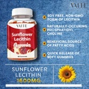 sunflower-lecithin-gummies-800mg---vegan-2.jpg