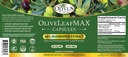 oliveleafmax-olive-leaf-extract-40-oleur-2.jpg