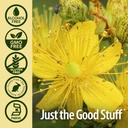 natures-answer-st-johns-wort-alcohol-fre-5.jpg