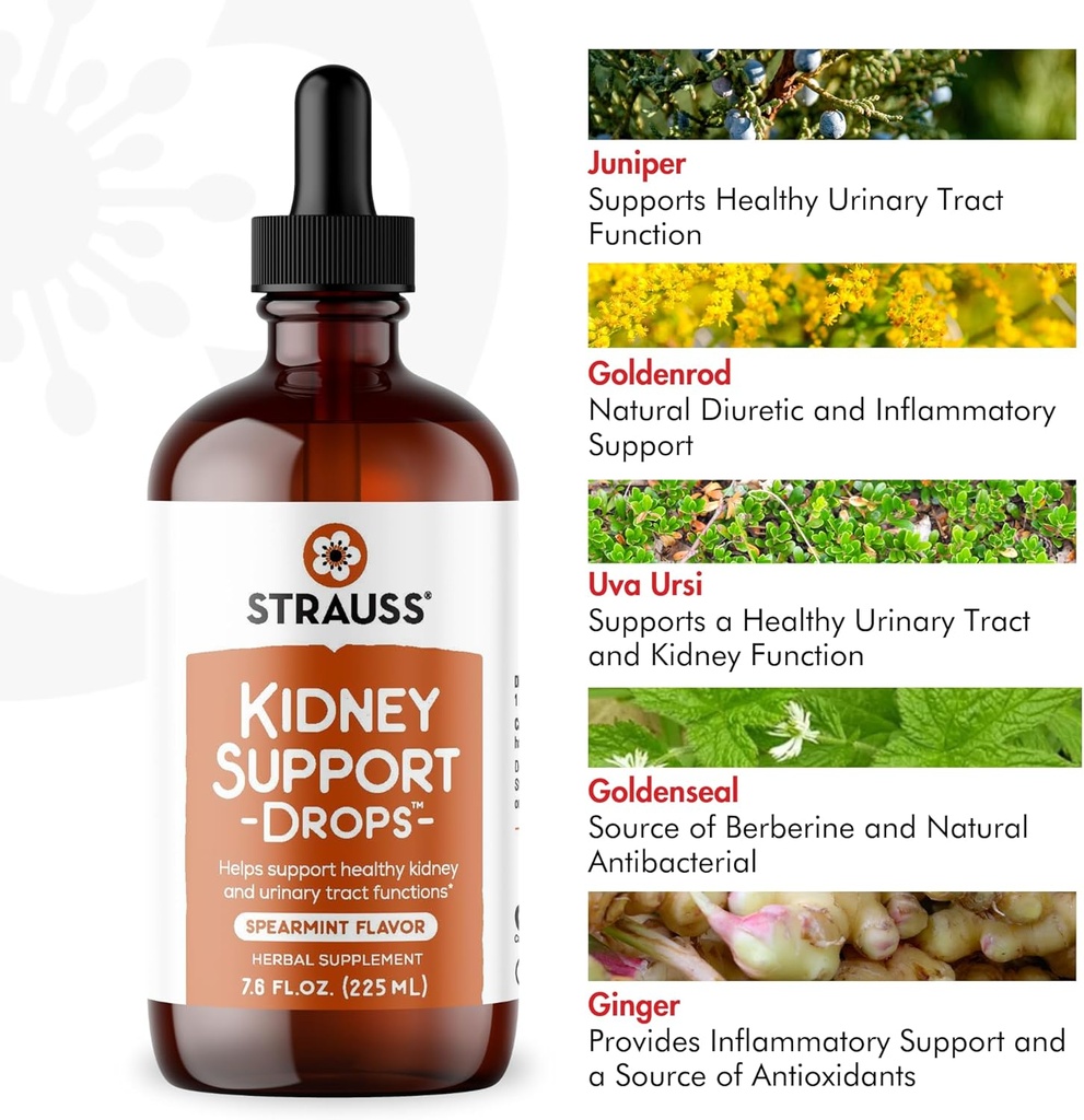strauss-naturals-kidney-support-drops-he-4.jpg