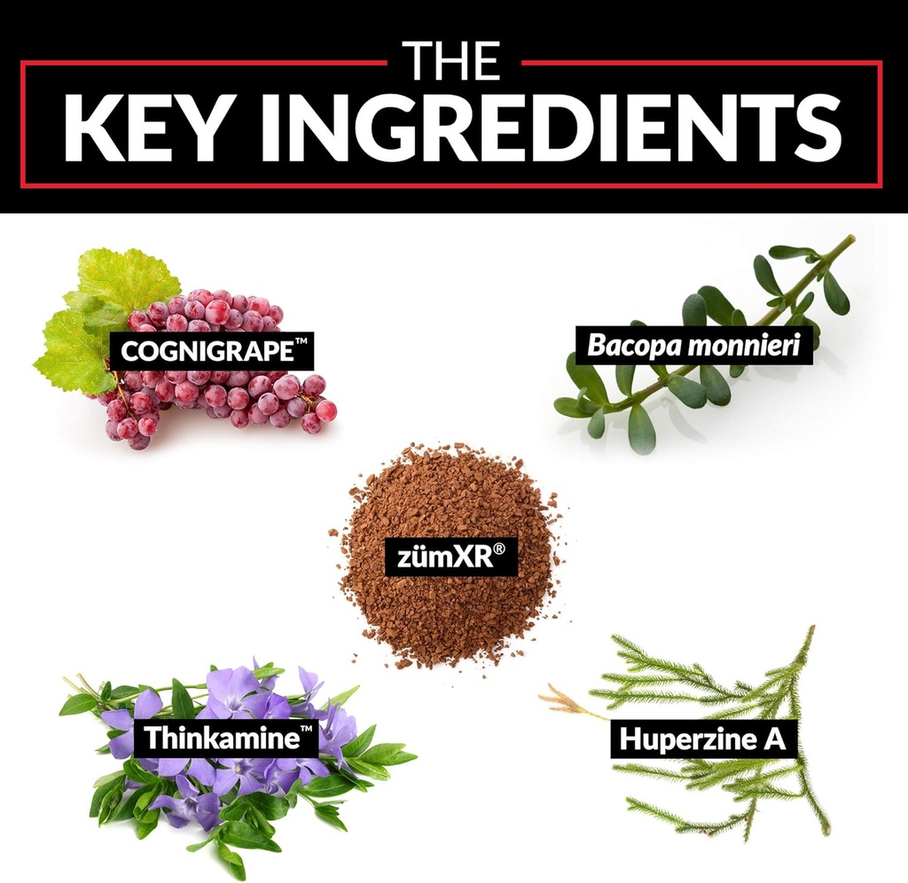 force-factor-forebrain-2-pack-nootropic--5.jpg