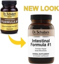 dr-schulzes-intestinal-formula-1---bowel-2.jpg