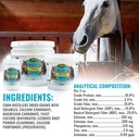 adeptus-nutrition-allay-equine-supplemen-3.jpg