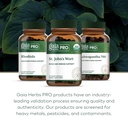 gaia-herbs-pro-st-johns-wort---healthy-i-6.jpg