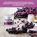 aki-berry-bombshell---acai-elderberry-bl-5.jpg
