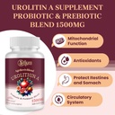 urolithin-a-supplement-1500mg-urolithin--4.jpg