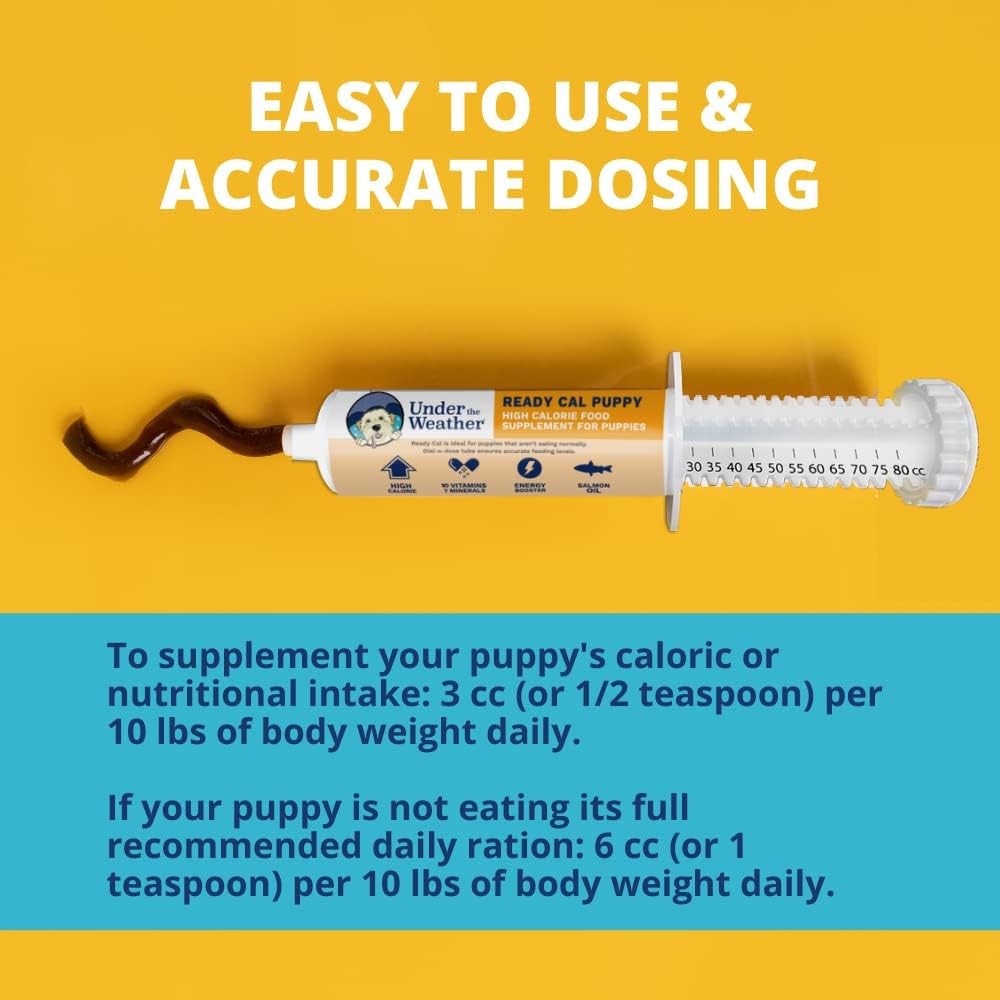 under-the-weather-pet-ready-cal-for-pupp-4.jpg