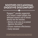 natures-way-pepogest-peppermint-oil-soot-6.jpg