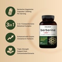 berberine-supplement-1500mg-with-1000mg--3.jpg