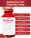 elovate-berberine-hci-capsules-1200mg----6.jpg