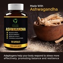 nature-fusion-ashwagandha-capsules-500mg-5.jpg