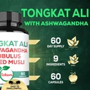 satoomi-tongkat-ali-root-extract-2001-9--3.jpg