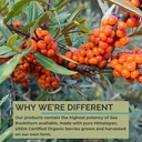 seabuckwonders-organic-sea-buckthorn-oil-5.jpg