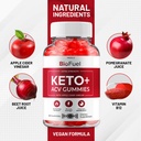 5-pack-bio-fuel-keto-acv-gummies---advan-5.jpg