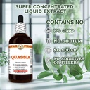 quassia-quassia-amara-dry-bark-tincture--4.jpg