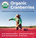 organic-cranberry-extract-capsules---sup-4.jpg
