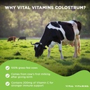 vital-vitamins-vegan-collagen-booster-ca-5.jpg