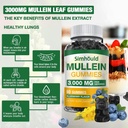 2-pack-sugar-free-3000mg-mullein-gummies-3.jpg