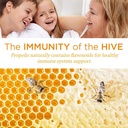 honey-gardens-bee-propolis-throat-spray--2.jpg
