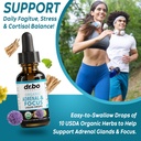 thyroid-support-adrenal-focus-drops---th-5.jpg