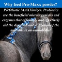 su-per-pro-maxx-probiotics-for-horses----3.jpg