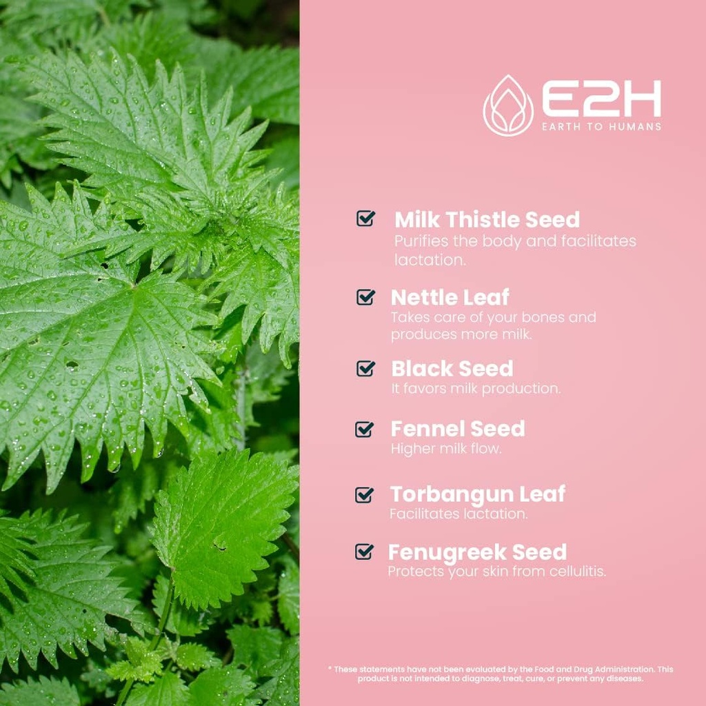 e2h-breastfeeding-supplement-and-lactati-5.jpg