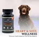 krill-oil-for-dogs---vitality-by-alpha-d-5.jpg