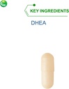 nutra-biogenesis-dhea-tr---dhea-for-endo-3.jpg