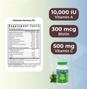 youngevity-ultimate-memory-fxTM-ginkgo-l-3.jpg