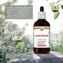 hawthorn-extract-tincture-for-heart-well-5.jpg